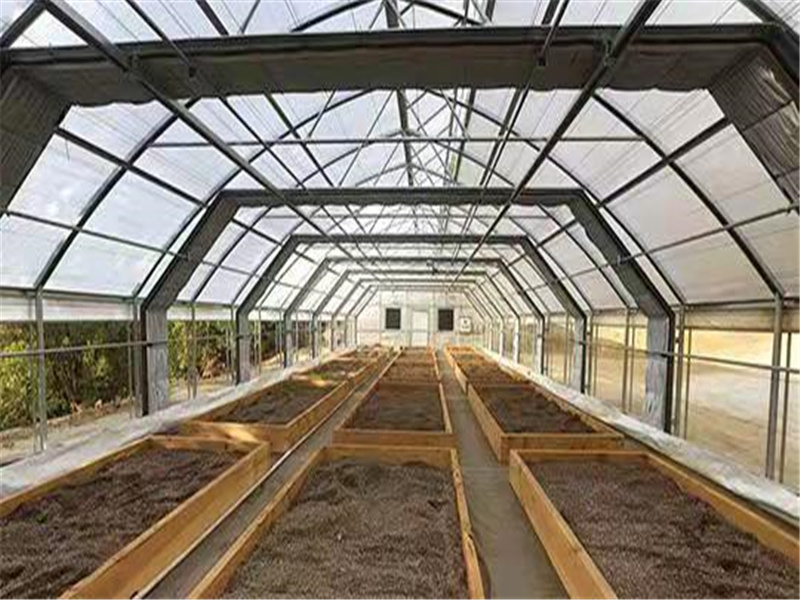 light deprivation  greenhouse/black out greenhouse Featured Image