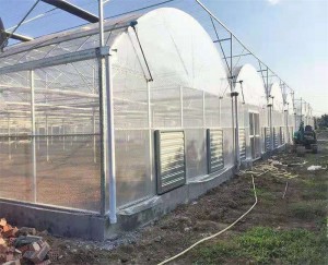 Myndin Greenhouse