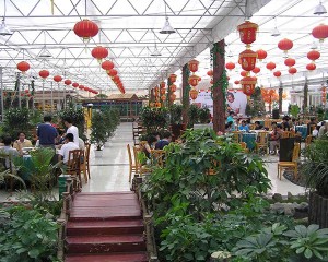 ecological restaurant greenhouse