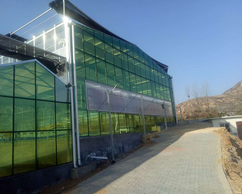 Project-glass-greenhouse-hebei-02