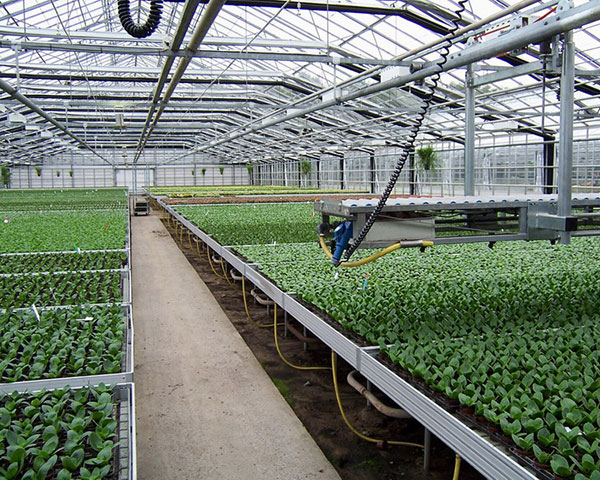 Factory selling Fiber Glass Greenhouses -
 seedling bed – Hanyang