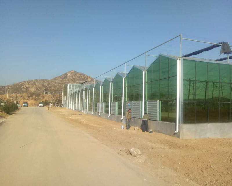 Project-glass-greenhouse-hebei-03