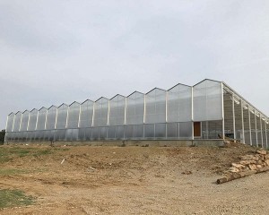 Polycarbonate greenhouse