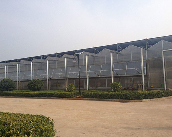 Low MOQ for 315w Cmh Digital Ballas -
 multi-span greenhouse – Hanyang