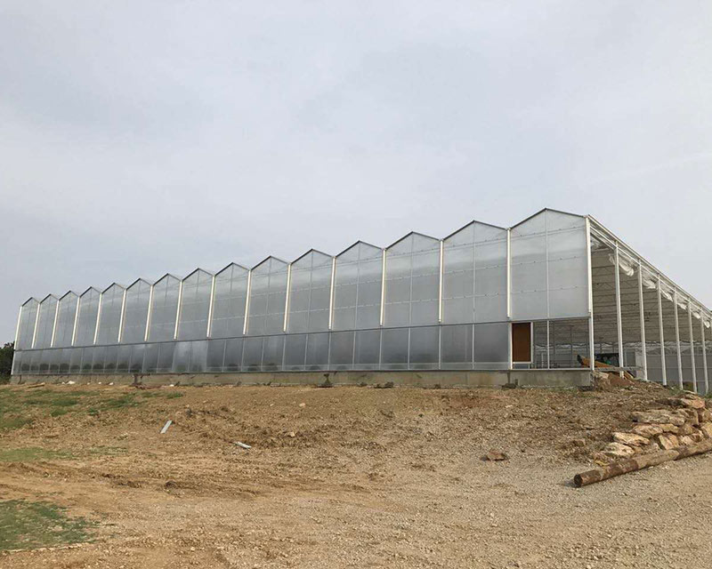 American-greenhouse