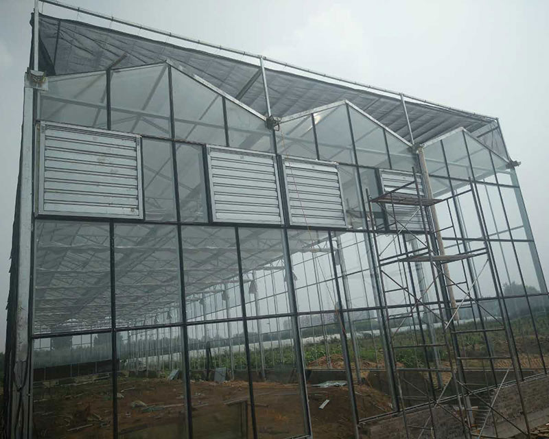 project-greenhouse-luquan-01