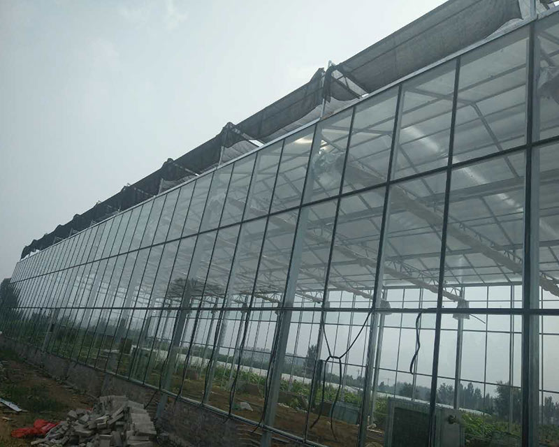 project-greenhouse-luquan-02