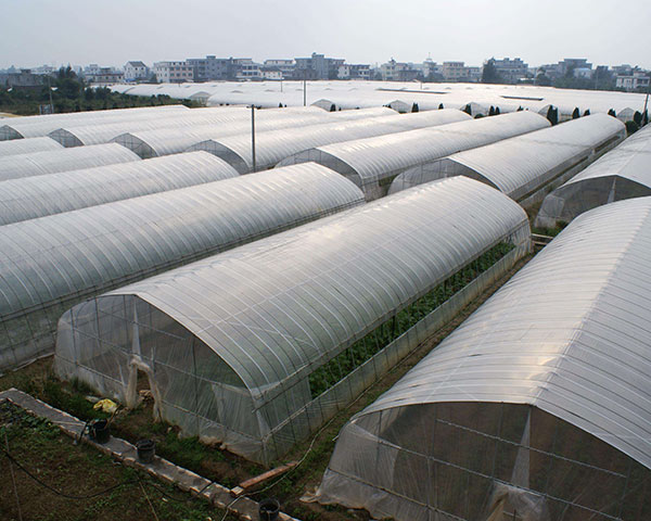 One of Hottest for Wrought Iron Greenhouse -
 Film Greenhouse – Hanyang