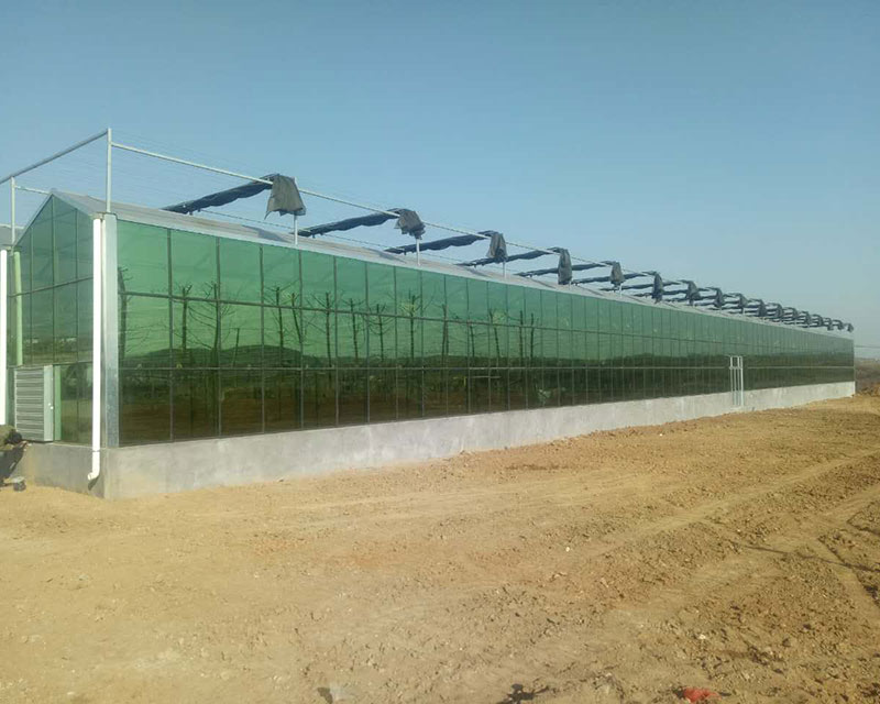 Project-glass-greenhouse-hebei-01