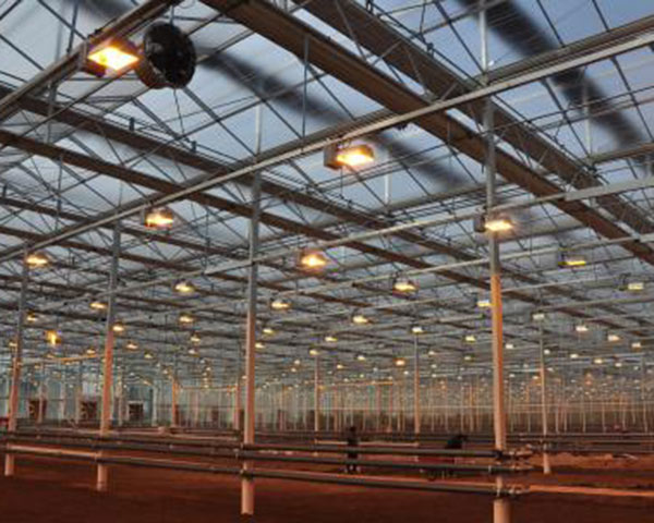 Leading Manufacturer for Green Houses Agriculture -
 Lighting system – Hanyang