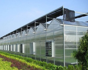 polykarbonat växthus
