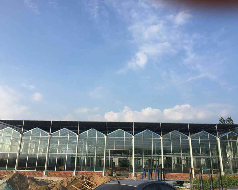 Project-greenhouse-yingkou