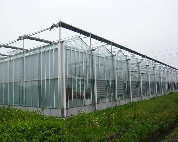 Special Design for Greenhouse Roofing Polycarbonate Sheet -
 Velo Greenhouse – Hanyang
