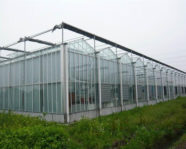 Discount Price High Quality Commercial Greenhouses -
 Velo Greenhouse – Hanyang