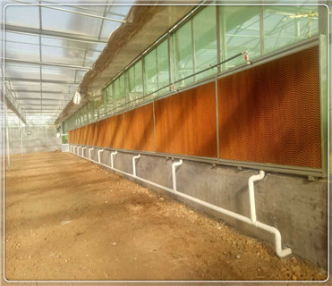 What is the engineering ventilation system of greenhouse?What’s the difference?