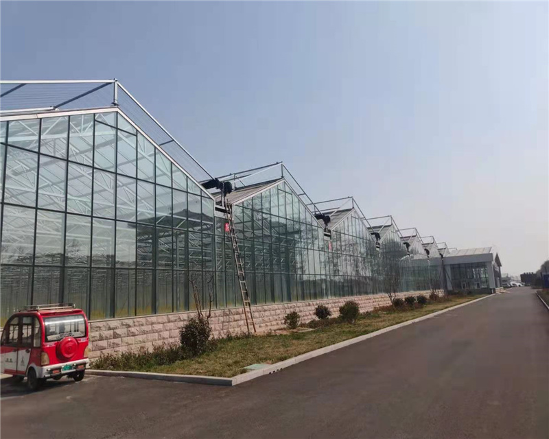 Excellent quality Poly Tunnel Green House -
 glass greenhouse – Hanyang