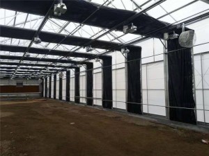 light deprivation  greenhouse/black out greenhouse