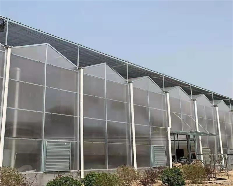 OEM Customized Pipe For Greenhouse Frame -
 Venlo Greenhouse – Hanyang