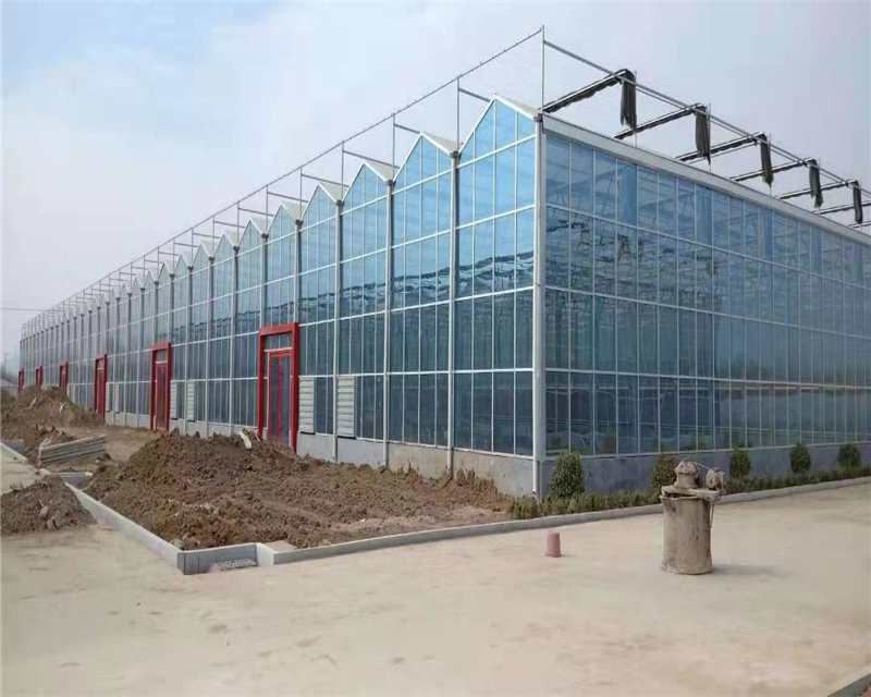 High reputation Galvanized Sheet Greenhouse -
 glass greenhouse – Hanyang