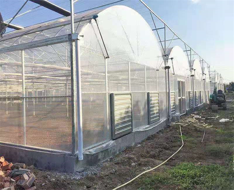 Good User Reputation for Greenhouses For Flower Plantation -
 Film Greenhouse – Hanyang